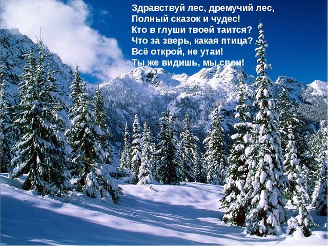 Презентация для детей подготовительной группы "Животные зимой"