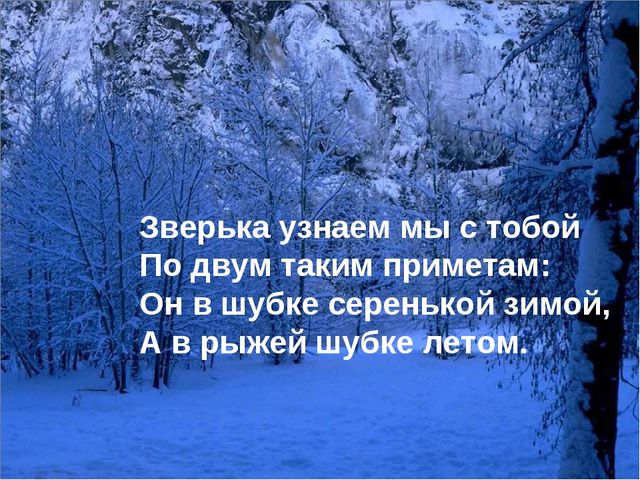Презентация для детей подготовительной группы "Животные зимой"
