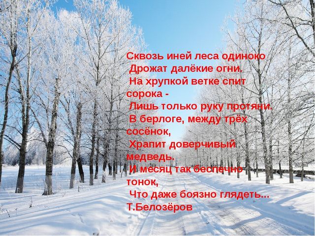Презентация для детей подготовительной группы "Животные зимой"