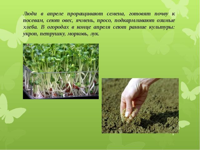 Презентация для детей подготовительной группы "Весеннее пробуждение"
