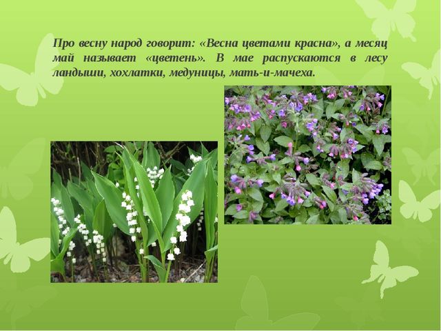 Презентация для детей подготовительной группы "Весеннее пробуждение"