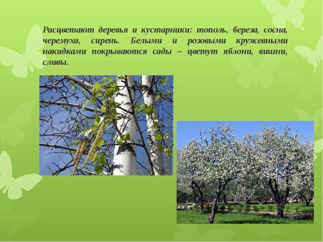 Презентация для детей подготовительной группы "Весеннее пробуждение"