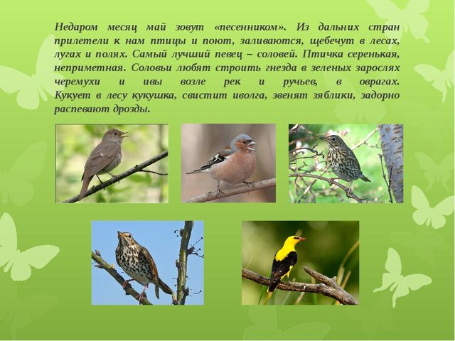 Презентация для детей подготовительной группы "Весеннее пробуждение"