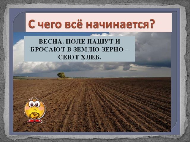 Презентация по окружающему миру на тему "От зернышка до хрустящей корочки"