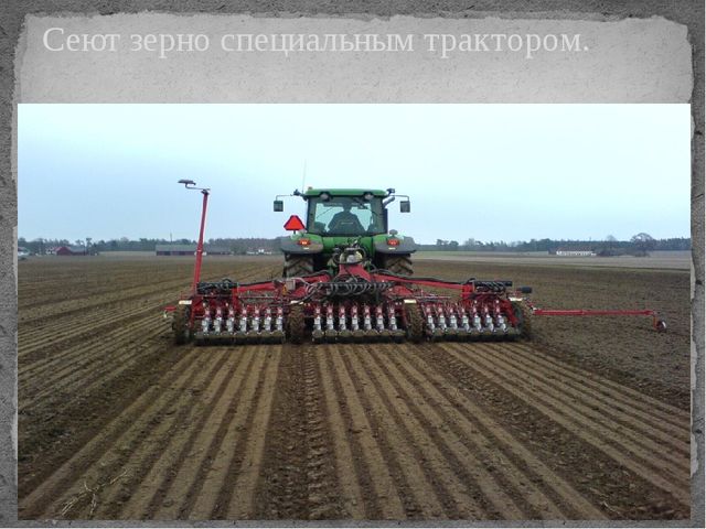 Презентация по окружающему миру на тему "От зернышка до хрустящей корочки"