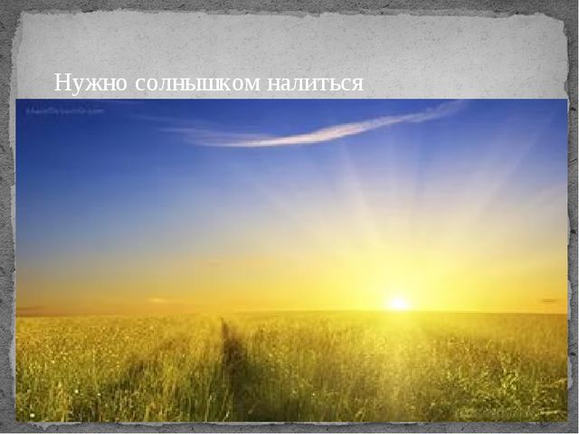 Презентация по окружающему миру на тему "От зернышка до хрустящей корочки"