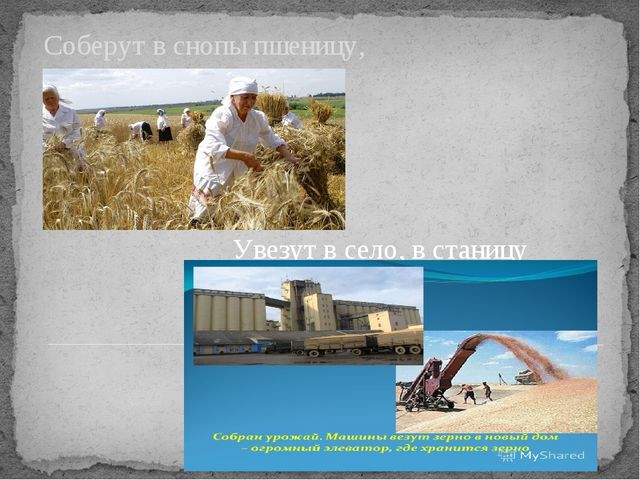 Презентация по окружающему миру на тему "От зернышка до хрустящей корочки"