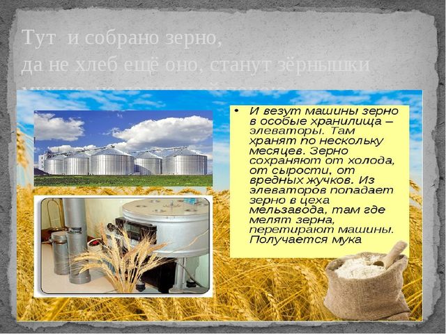 Презентация по окружающему миру на тему "От зернышка до хрустящей корочки"