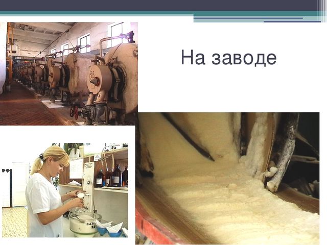 Презентация "Откуда сахар пришел?"