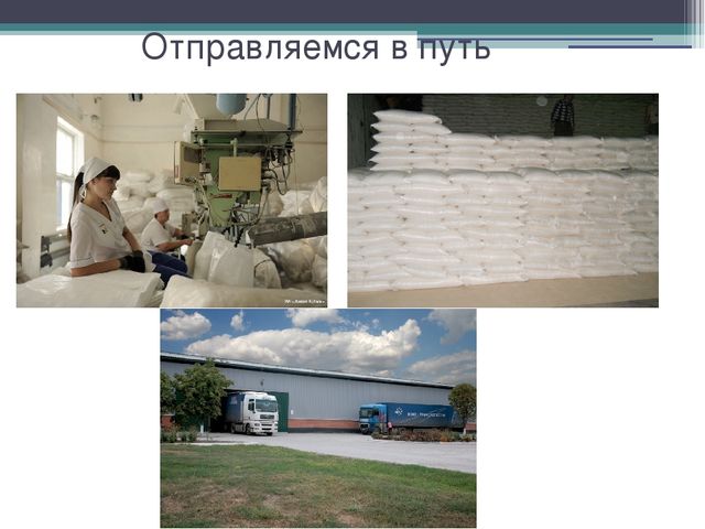 Презентация "Откуда сахар пришел?"