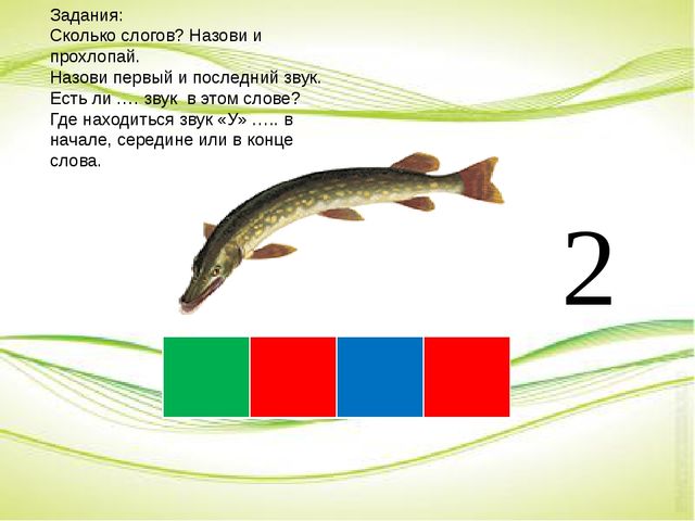 Мы со звуками играем и картинки называем!