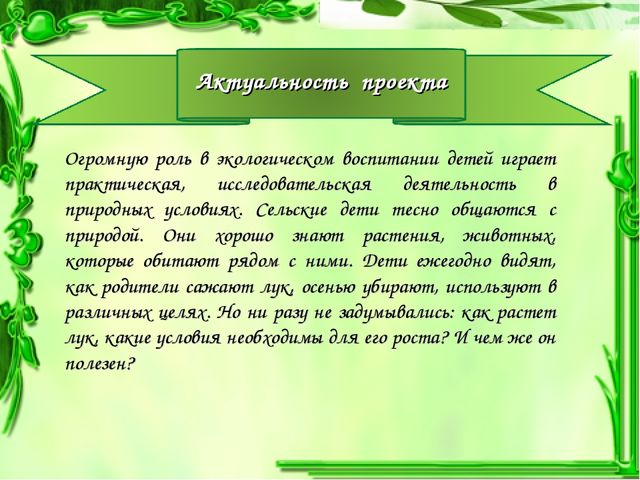 Презентация проекта "Чудо-Лук" в младшей группе.