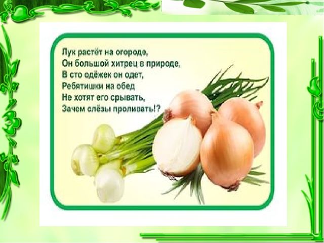 Презентация проекта "Чудо-Лук" в младшей группе.