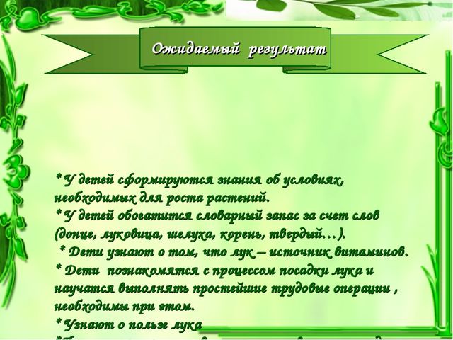 Презентация проекта "Чудо-Лук" в младшей группе.