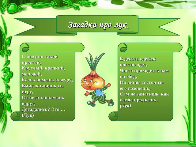 Презентация проекта "Чудо-Лук" в младшей группе.