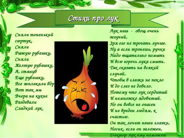 Презентация проекта "Чудо-Лук" в младшей группе.
