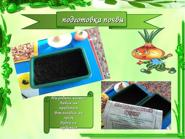 Презентация проекта "Чудо-Лук" в младшей группе.