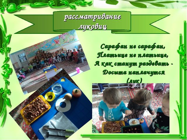 Презентация проекта "Чудо-Лук" в младшей группе.