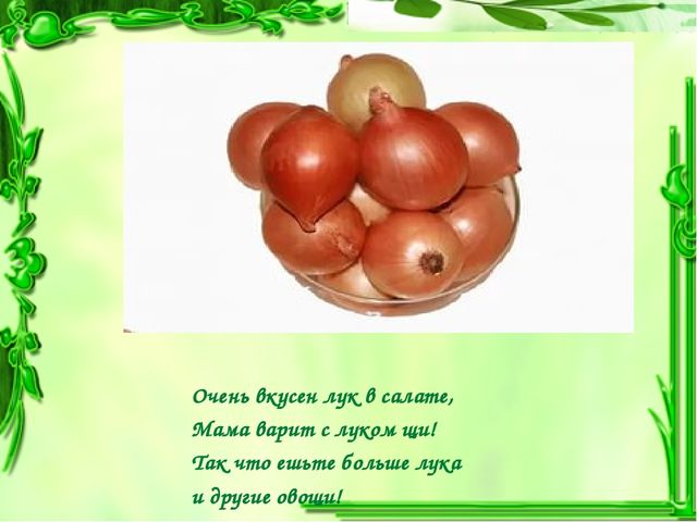 Презентация проекта "Чудо-Лук" в младшей группе.