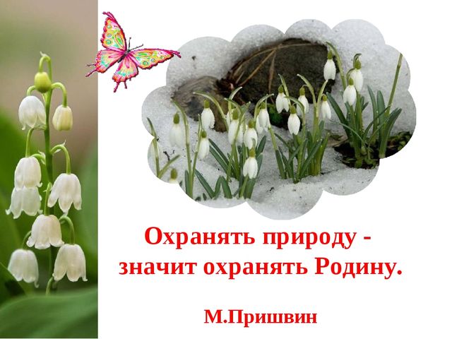 Экологический Проект «Красная книга Татарстана»