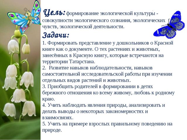 Экологический Проект «Красная книга Татарстана»