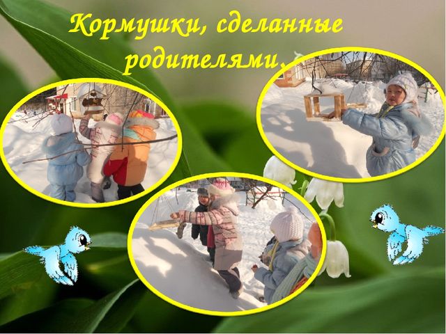 Экологический Проект «Красная книга Татарстана»