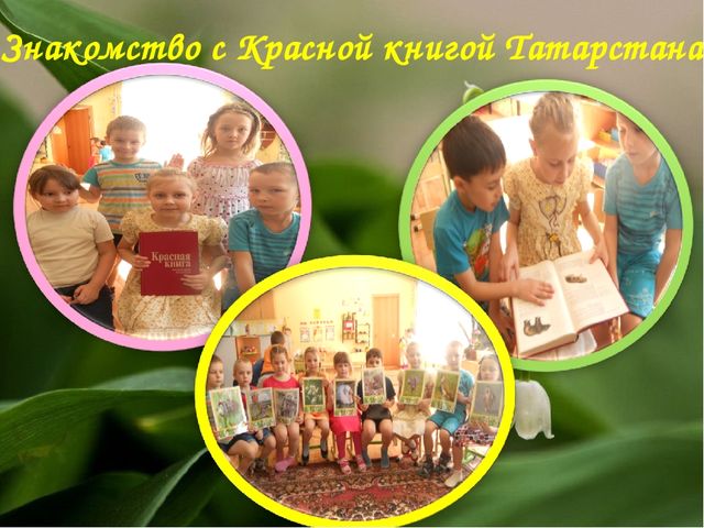Экологический Проект «Красная книга Татарстана»