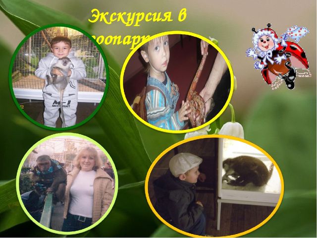 Экологический Проект «Красная книга Татарстана»