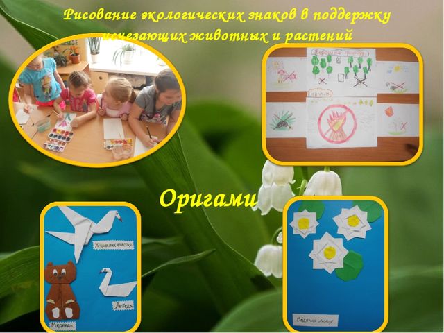 Экологический Проект «Красная книга Татарстана»