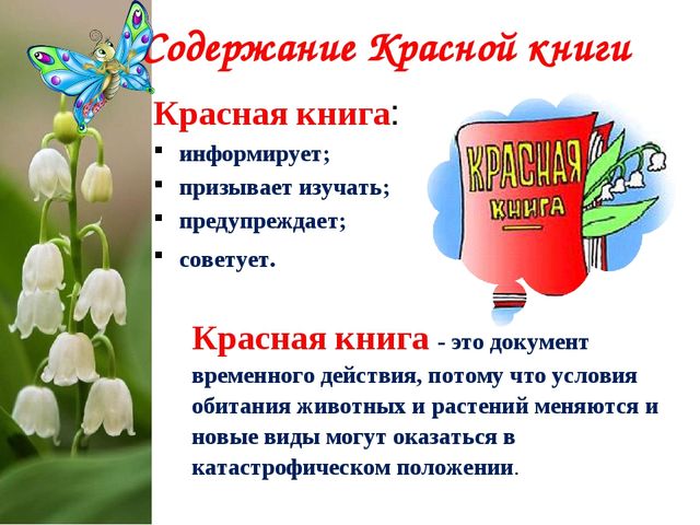 Экологический Проект «Красная книга Татарстана»
