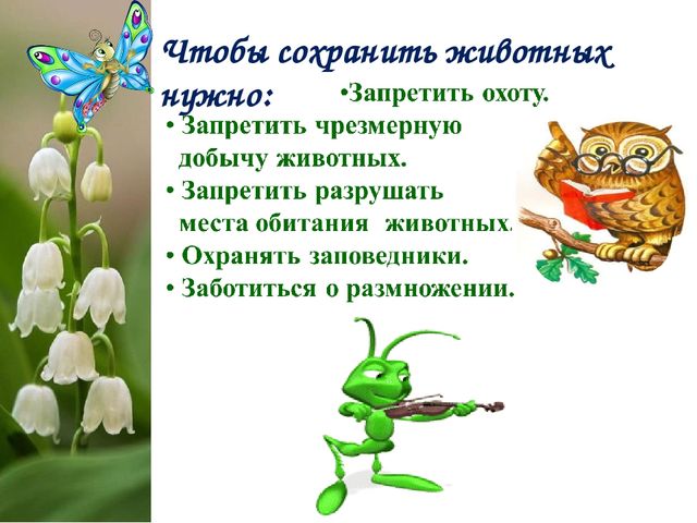 Экологический Проект «Красная книга Татарстана»