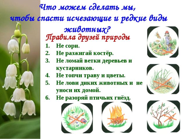 Экологический Проект «Красная книга Татарстана»