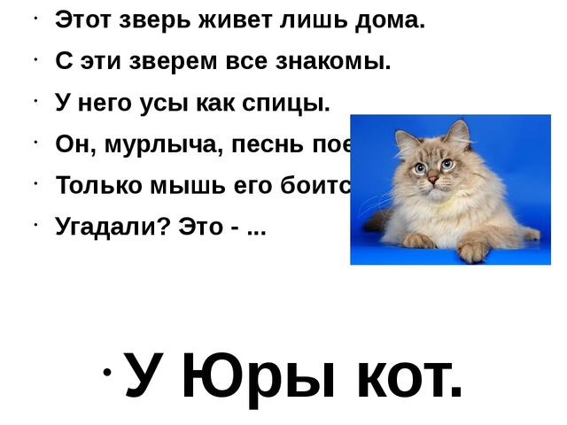 Подготовительные занятия с будущими первоклассниками (№17)