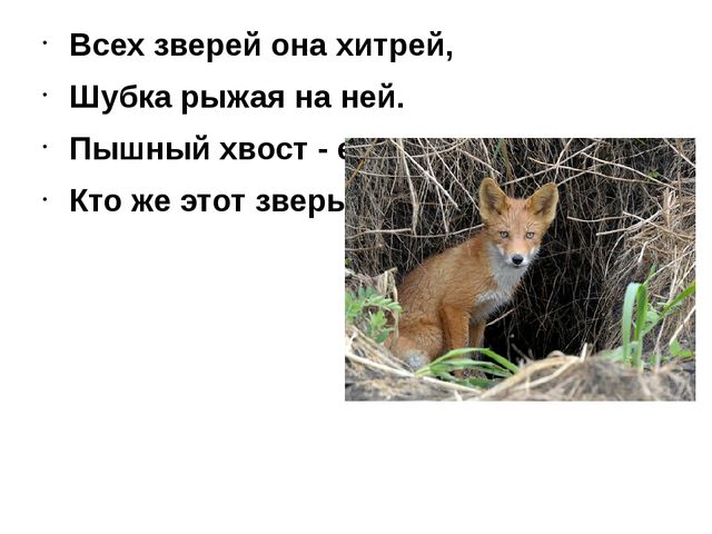 Подготовительные занятия с будущими первоклассниками (№17)