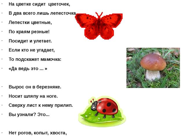 Подготовительные занятия с будущими первоклассниками (№17)