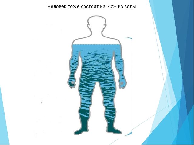 Презентация "Роль воды в жизни человека"