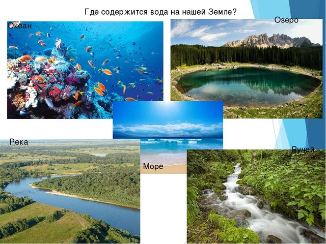 Презентация "Роль воды в жизни человека"