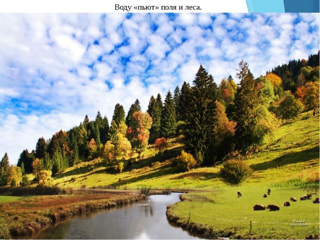 Презентация "Роль воды в жизни человека"