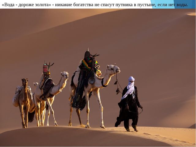 Презентация "Роль воды в жизни человека"