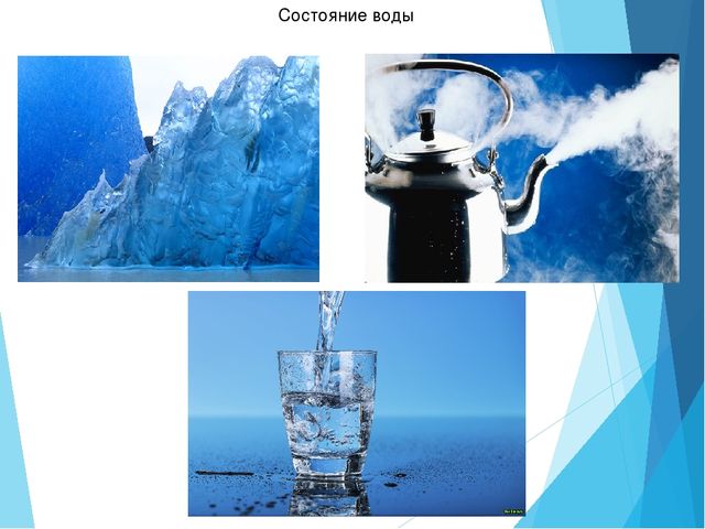 Презентация "Роль воды в жизни человека"