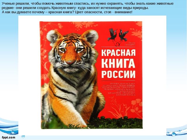 Презентация "Как люди охраняют природу"