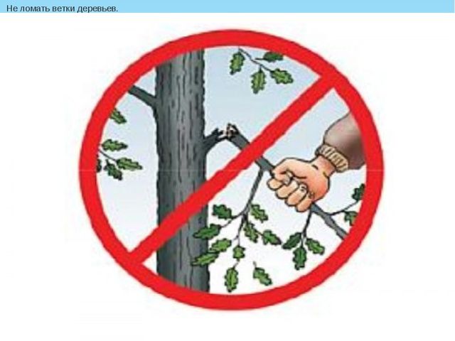 Презентация "Как люди охраняют природу"