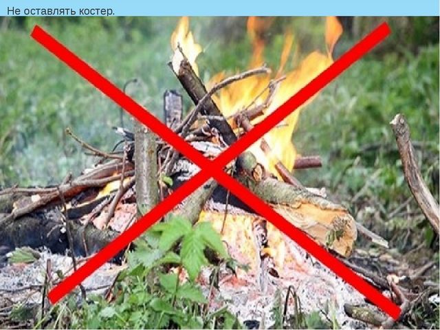 Презентация "Как люди охраняют природу"