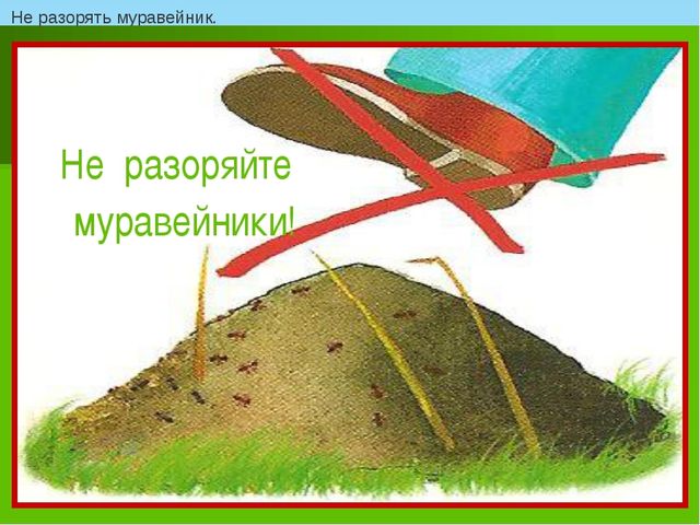 Презентация "Как люди охраняют природу"