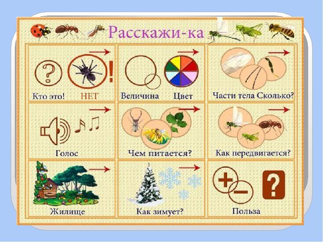 Презентация для дошкольников по развитию речи
