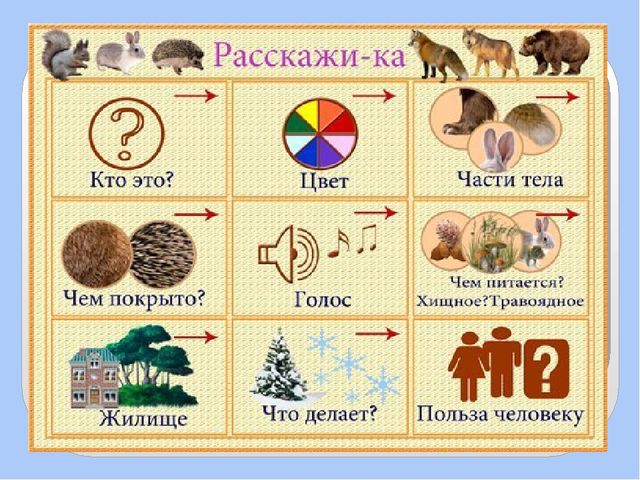 Презентация для дошкольников по развитию речи