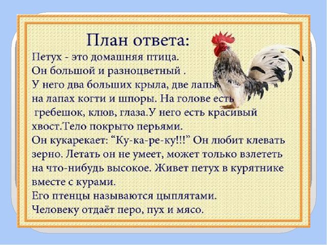 Презентация для дошкольников по развитию речи