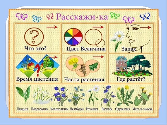 Презентация для дошкольников по развитию речи
