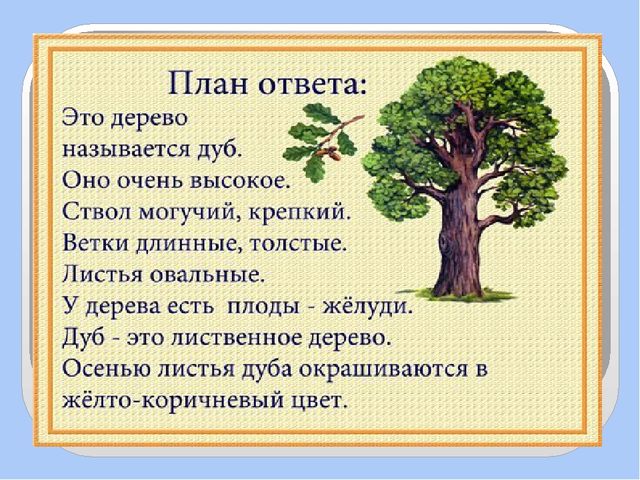 Презентация для дошкольников по развитию речи