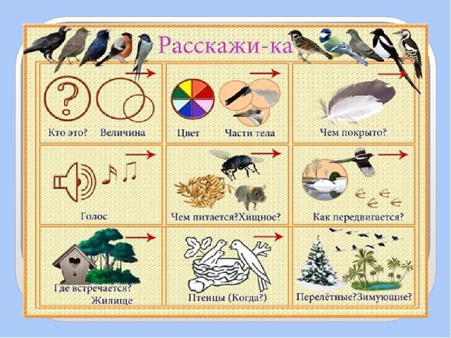 Презентация для дошкольников по развитию речи